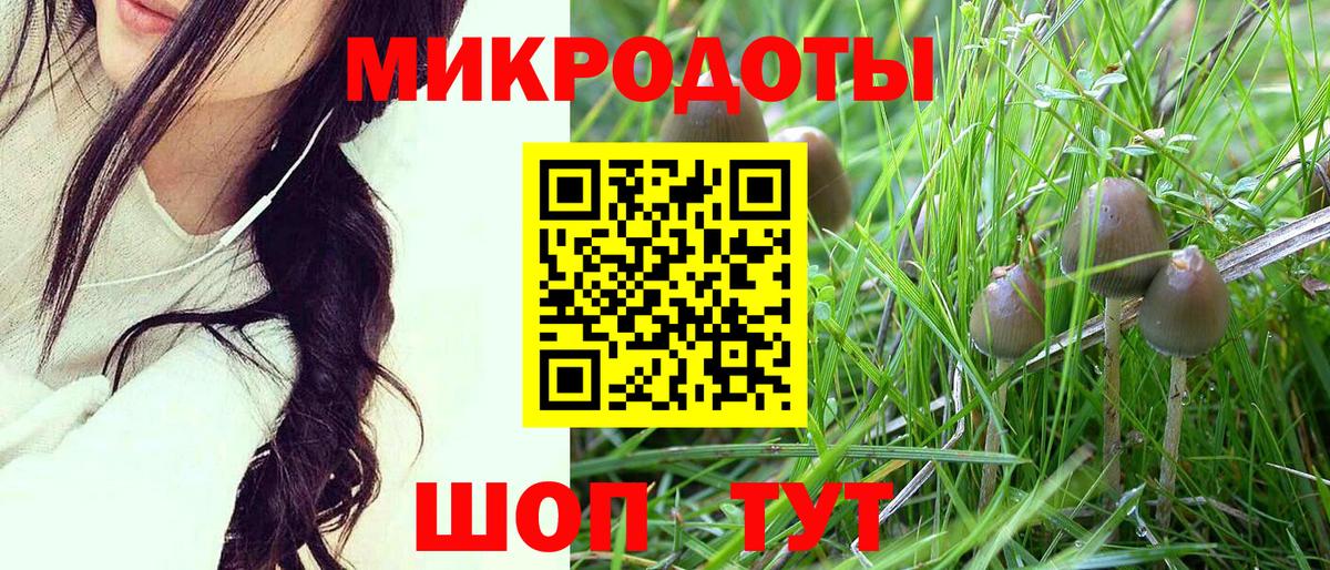 Псилоцибиновые грибы мухоморы  Вход с VPN  Дятьково 