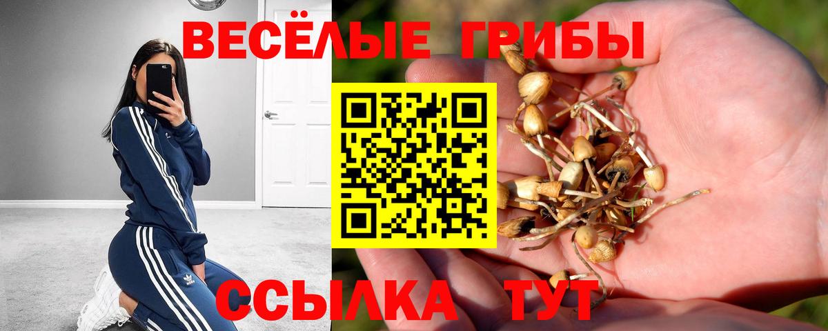 Псилоцибиновые грибы Magic Shrooms Дятьково